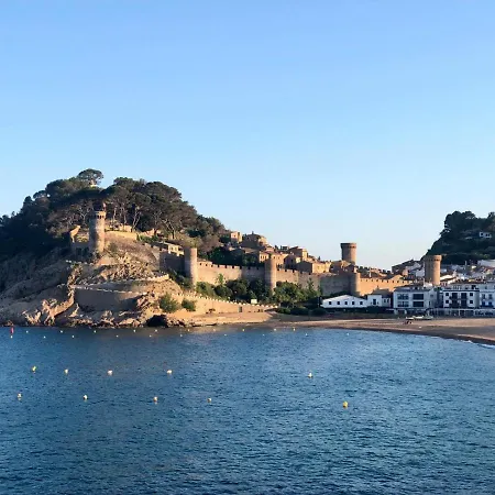 In The Forest With Sea View