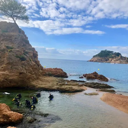 아파트 In The Forest With Sea View