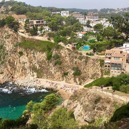 In The Forest With Sea View 아파트 *