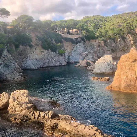 In The Forest With Sea View 公寓