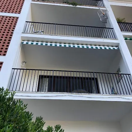 In The Forest With Sea View Apartamento