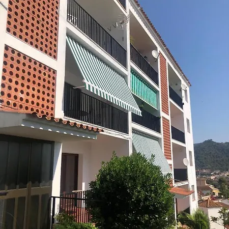 In The Forest With Sea View