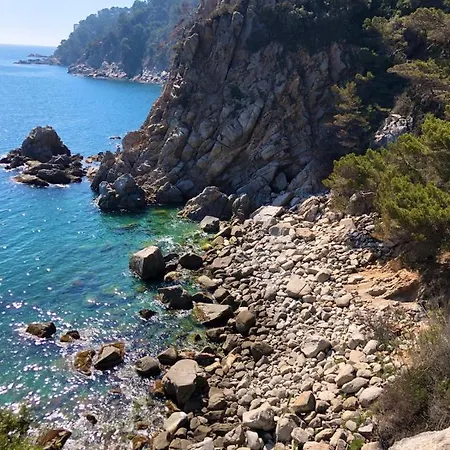 в лесу с видом на море Тоса-де-Мар