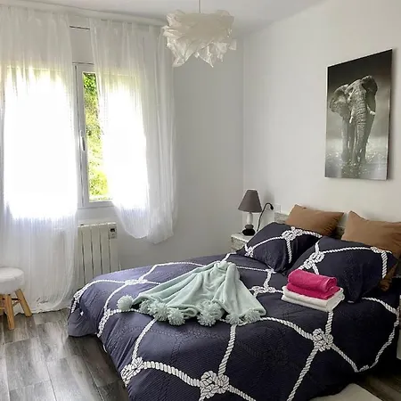 In The Forest With Sea View * 滨海托萨