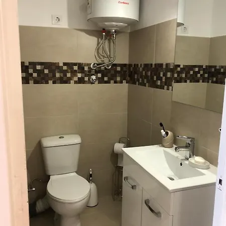 In The Forest With Sea View *