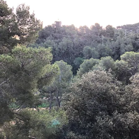 In The Forest With Sea View * 또사데마르
