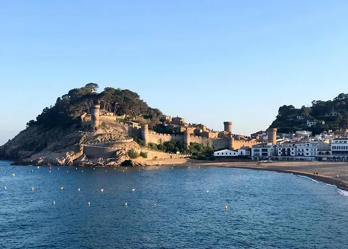 In The Forest With Sea View