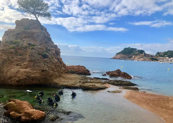 شقة In The Forest With Sea View