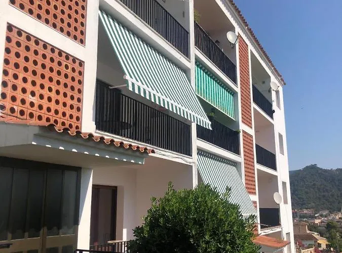 In The Forest With Sea View